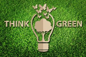 green sustainable salon